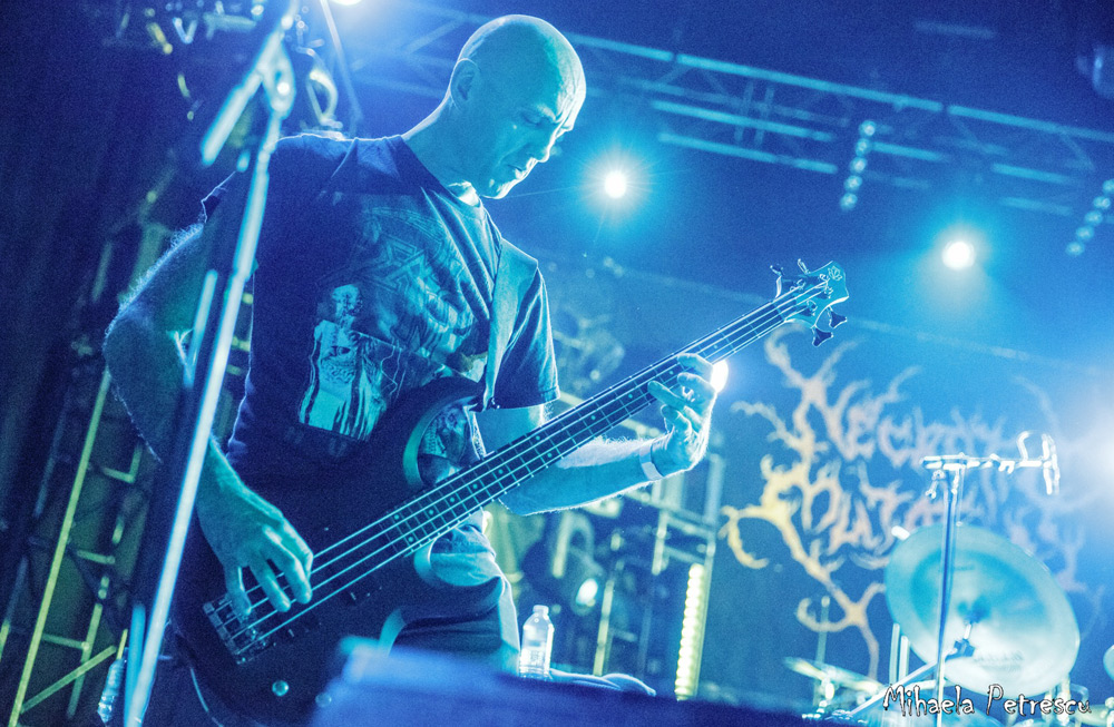 Necrotic Mutation 1998 - 2000